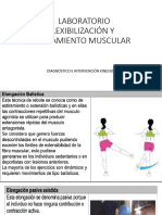 Lab Flexibilizacion y Estiramiento Muscular