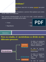 Metabolismo Glucolisis (ALUMNOS 1)