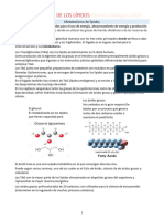 METABOLISMO DE LOS LÍPIDOS Química Biológica 2022