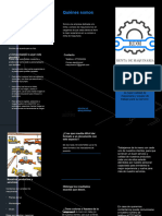 Proyecto Triptico 5RHB