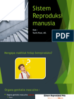 Sistem Reproduksi Manusia