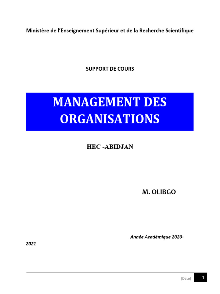 Cours Management Des Organisations | PDF | Business | Direction