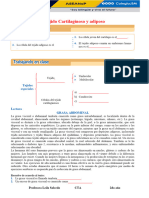 Ficha - 3-Tejido-Cartilaginoso y Adiposo 2