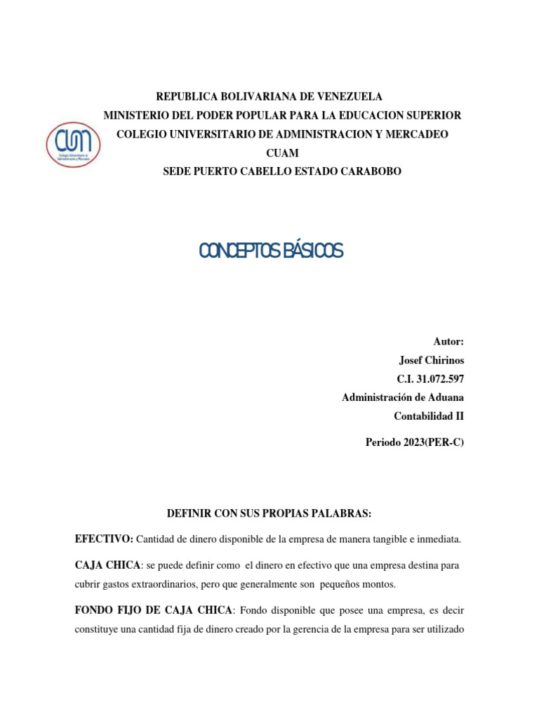 Conceptos Basicos Contabilidad Pdf Contabilidad Bancos