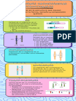 Alteraciones Cromosómicas Estructurales