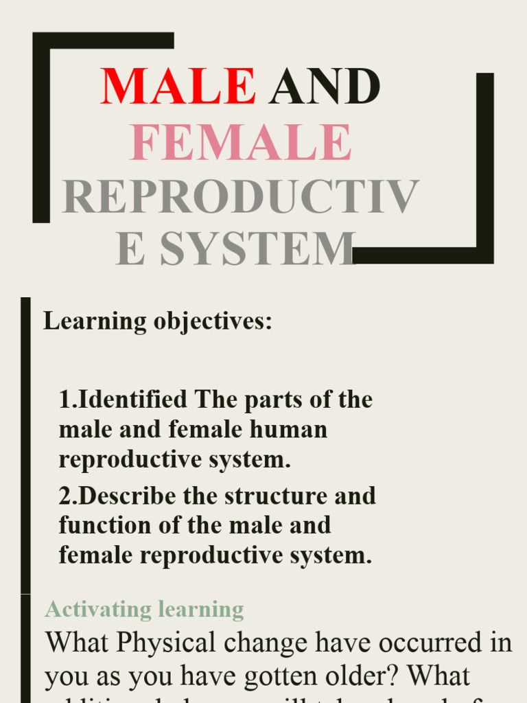 Overview of Human Reproductive Systems | PDF