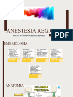 Anestesia Regional 2