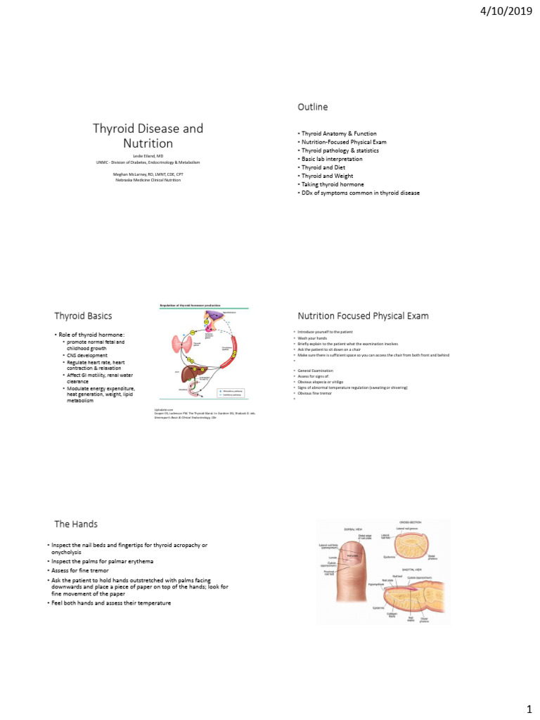 Thyroid And Nutrition 4 2 1 Handouts Pdf Hypothyroidism Thyroid