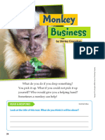 Monkey: Business