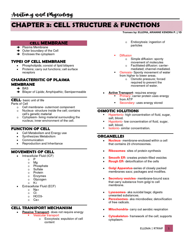 Cell Membrane Structure and Functions | PDF