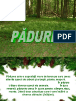 0_padurea (1)