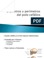 Diametros y Perimetros Del Polo Cefalico