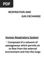 Air Pathway in the Respiratory System | PDF