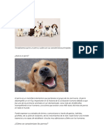 Los Caninos PDF