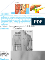 19 V D ǎ n Sh ū Transportar para ofrecer en la VB 胆 俞 (膽 俞) global