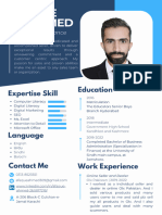 Professional CV Resume_2