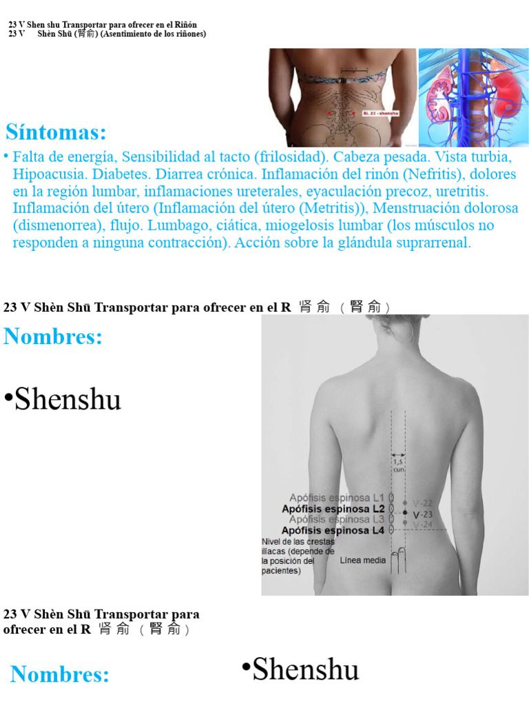 Acupuntura V23: Shen Shu y sus usos | PDF | Ciencia y matemáticas