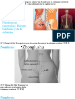 29 V Zhōng Lǔ Shū Transportar para ofrecer en el centro de la columna vertebral 中 膂 俞 global