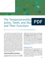 The Temporomandibular Joints, Teeth, and Muscles, and Their Functions