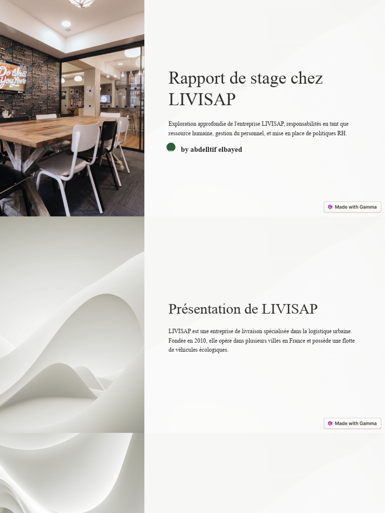Rapport De Stage Ressource Humaine – TZZC