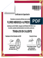 CERTIFICADO DE CALIENTE - FLORES MENDOZA ALFREDO ERNESTO