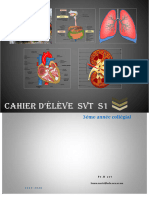 La Digestion Des Aliments Et Labsorption Intestinale Cours PDF 3