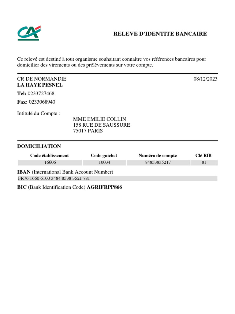 Relevé d'Identité Bancaire RIB | PDF