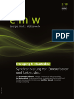 Emw 18-2-08 EI Synchronisierung Von Erneuerbaren Und Netzausbau
