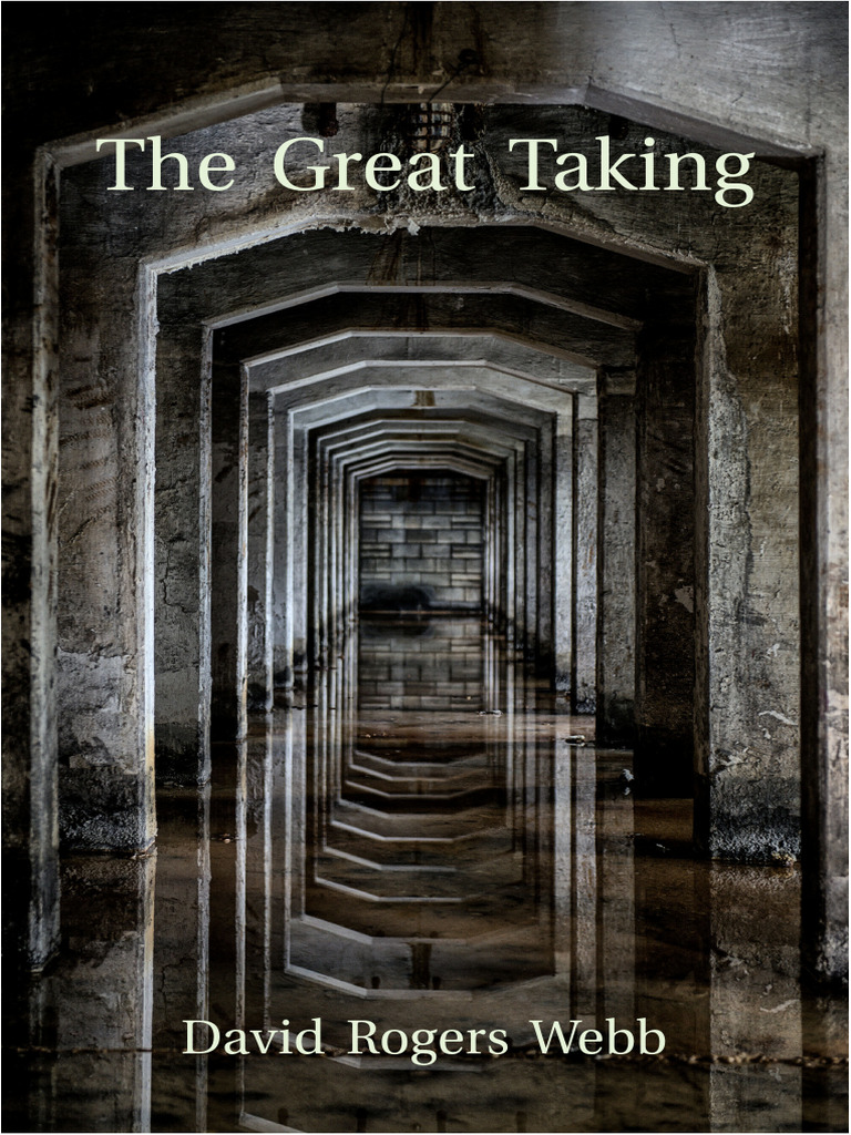 The great taking david webb pdf economic bubble taxes