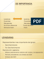 Diapositivas Levaduras de Importancia Enológica