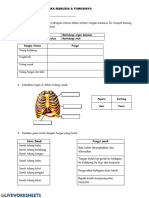 Topik: Sistem Rangka Manusia & Fungsinya NAMA