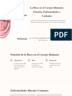 La Boca en El Cuerpo Humano Funcion Enfermedades y Cuidados