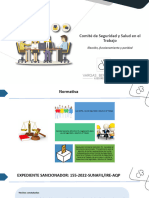 Comite de Seguridad y Salud en El Trabajo - Eleccion Funcionamiento y Paridad