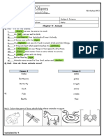 Animals Worksheet # 4