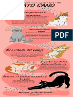 Infografía Cinco Razones para Adoptar Un Gato