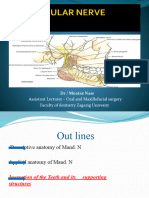 Mandibular Nerve