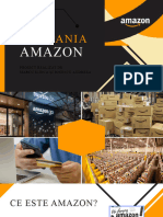 Amazon Proiect Economie