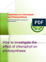 2023 Checkpoint Experiment - Chlorophyll and Photosynthesis