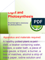 2023 Checkpoint Experiment-Light and Photosynthesis