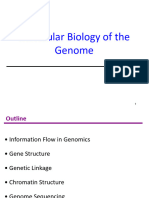 Lecture2 - Molecular Biology of The Genome