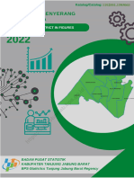 Kecamatan Senyerang Dalam Angka 2022