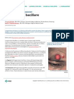 Angiomatosi Bacillare - Malattie Infettive - Manuali MSD Edizione Professionisti