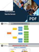 Clase 10 Estructuras Bacterianas