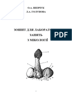 О.А. ШЕВЧУК Л.А. ГОЛУНОВА ЗОШИТ ДЛЯ ЛАБОРАТОРНИХ ЗАНЯТЬ З МІКОЛОГІЇ