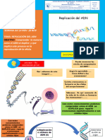 Clase 3 Replicación Adn. 2°bgu