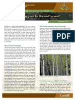 CFS SPNote - IsForestBioenergyGoodForTheEnvironment - English