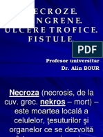 Necroze, Gangrene, Ulcere Trofice