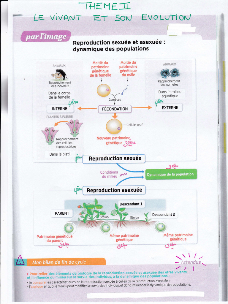 Reproduction sexuée et asexuée en biologie | PDF