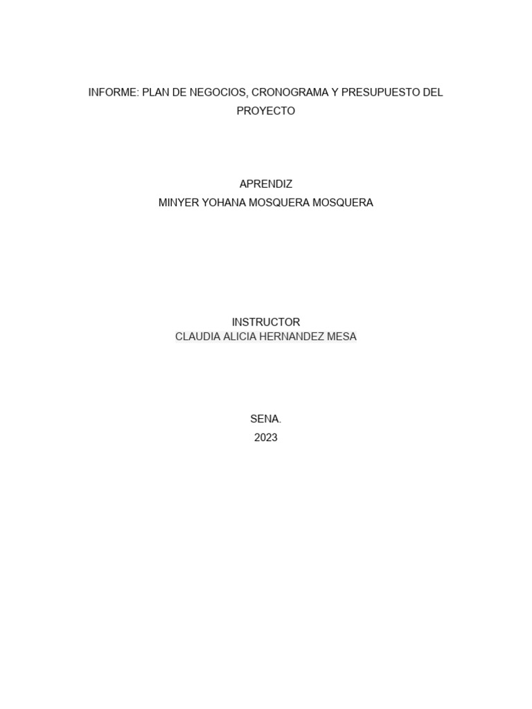 Plan de Negocios y Presupuesto 2023 | PDF