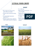 AGRICULTURAL FOOD CROPS